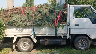 Gallyakkal teli autó rögzítés után