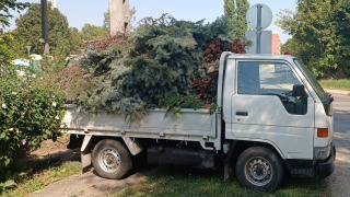 Gallyakkal teli autó rögzítés előtt